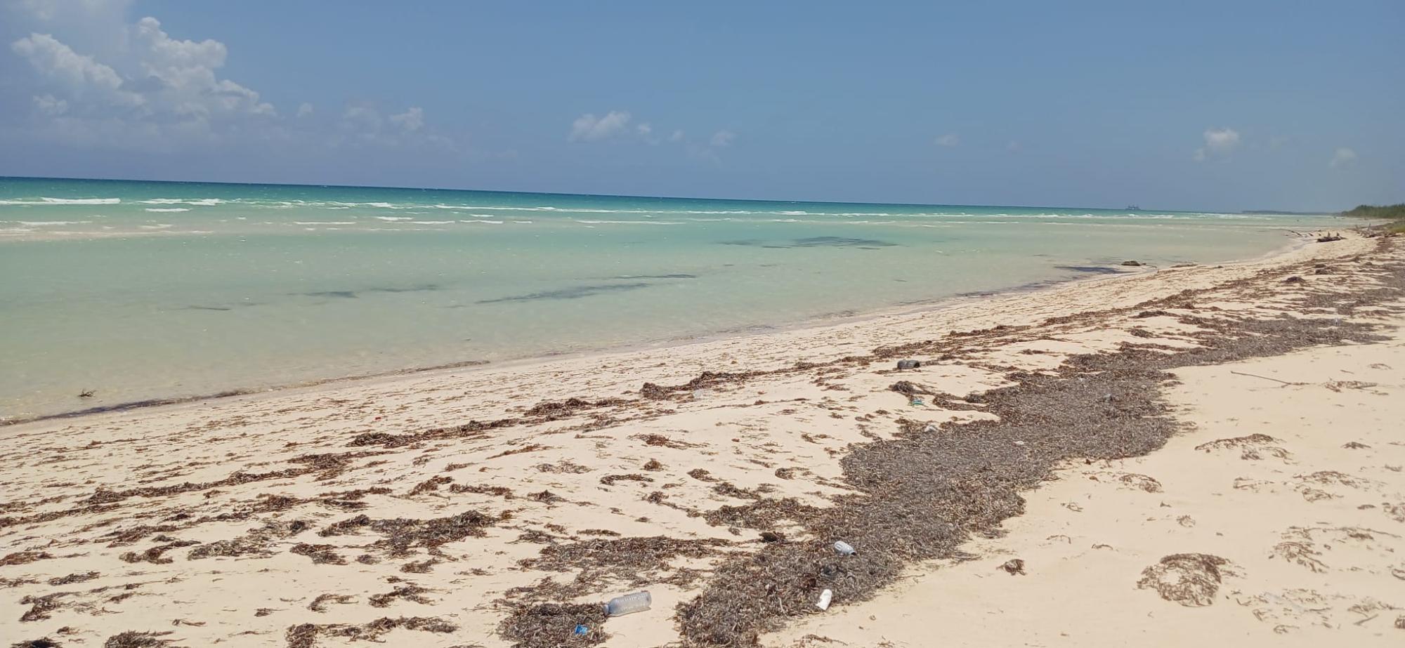 GRAND BAHAMA HIGHWAY