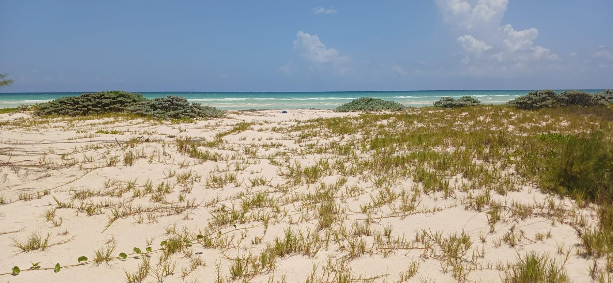GRAND BAHAMA HIGHWAY