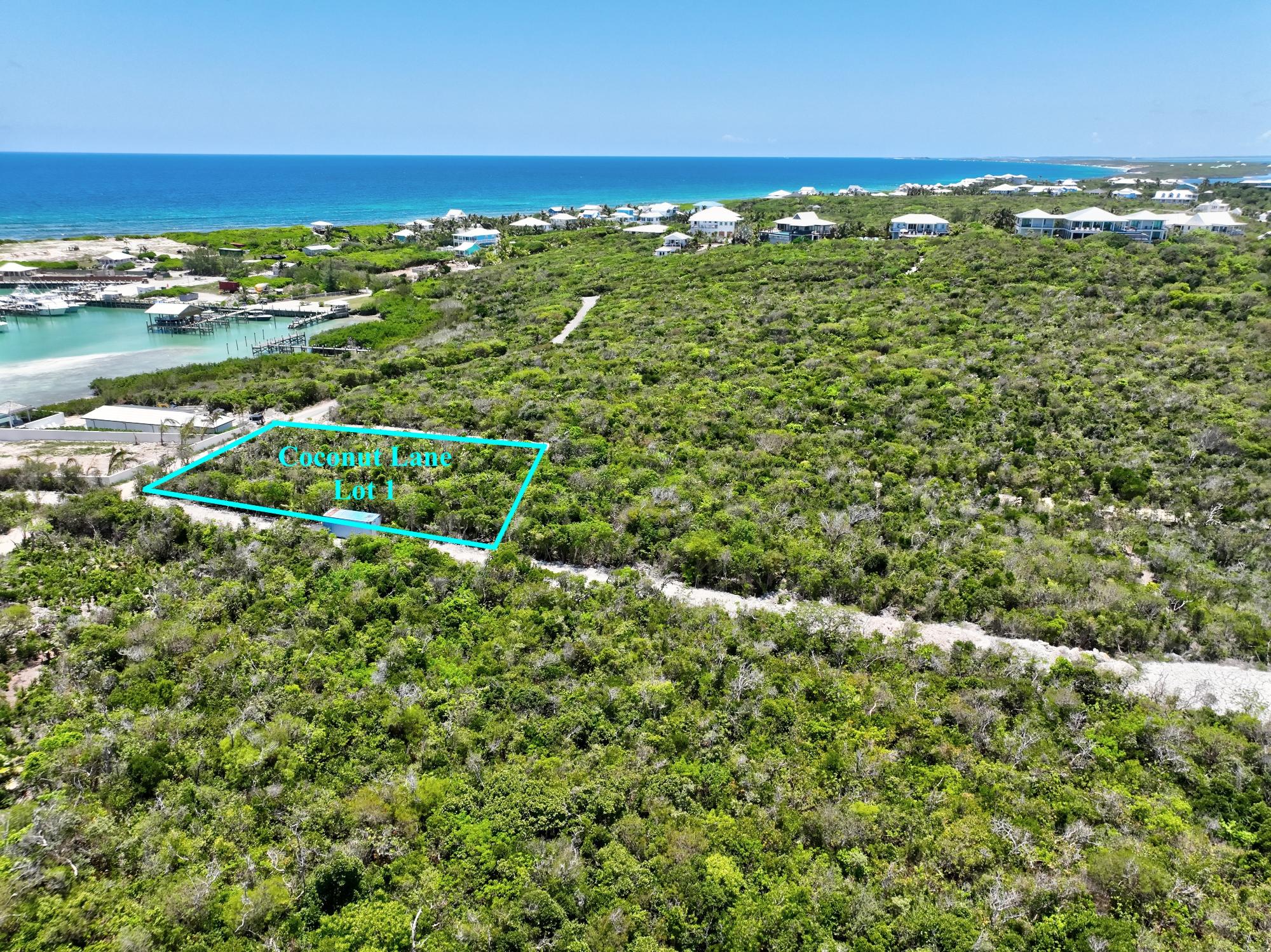 COCONUT LANE LOT 1