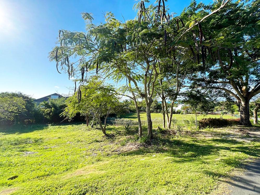 Lot 6 in Block 8