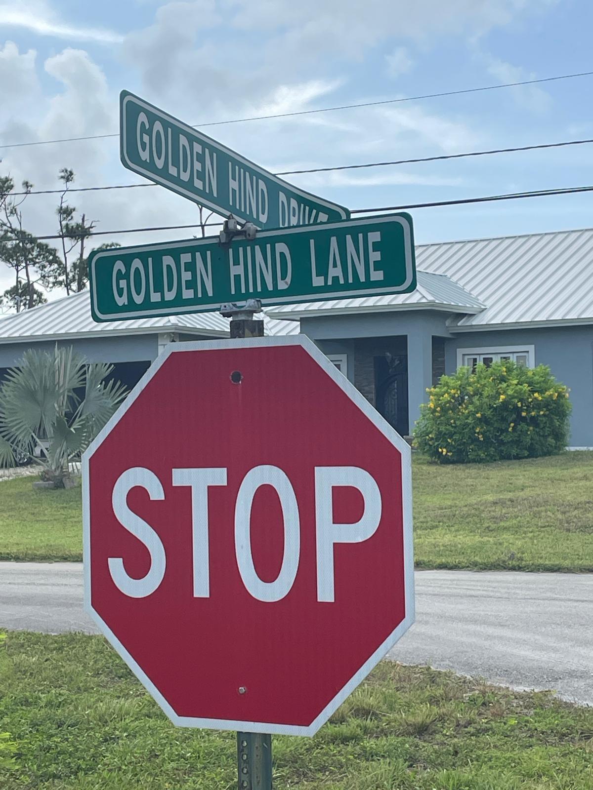 GOLDEN HIND DRIVE