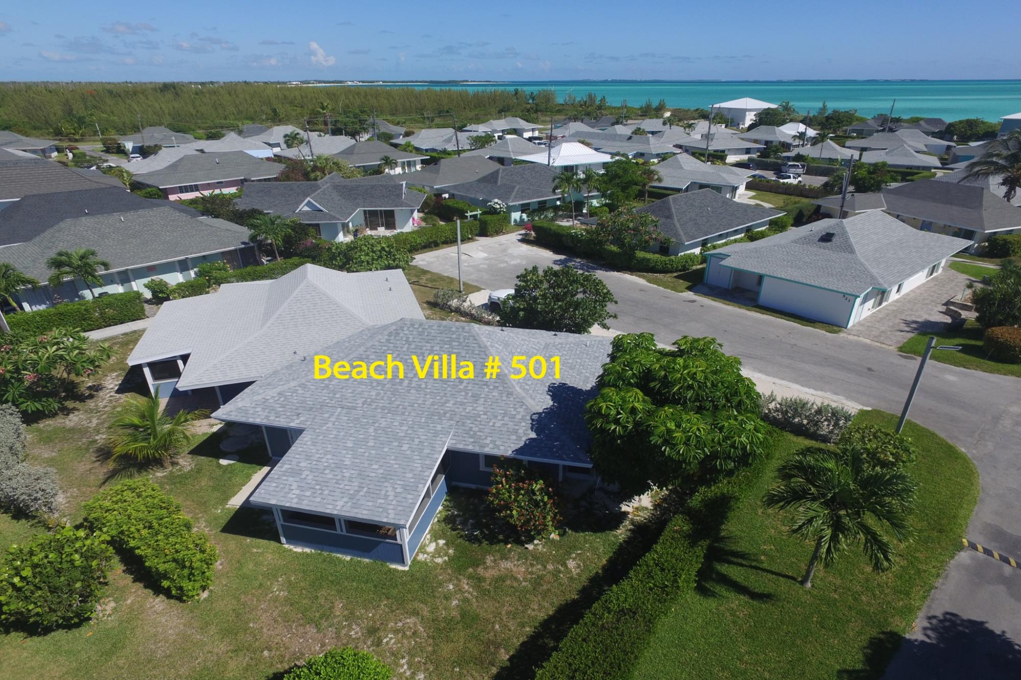 Blue Crab BV 501