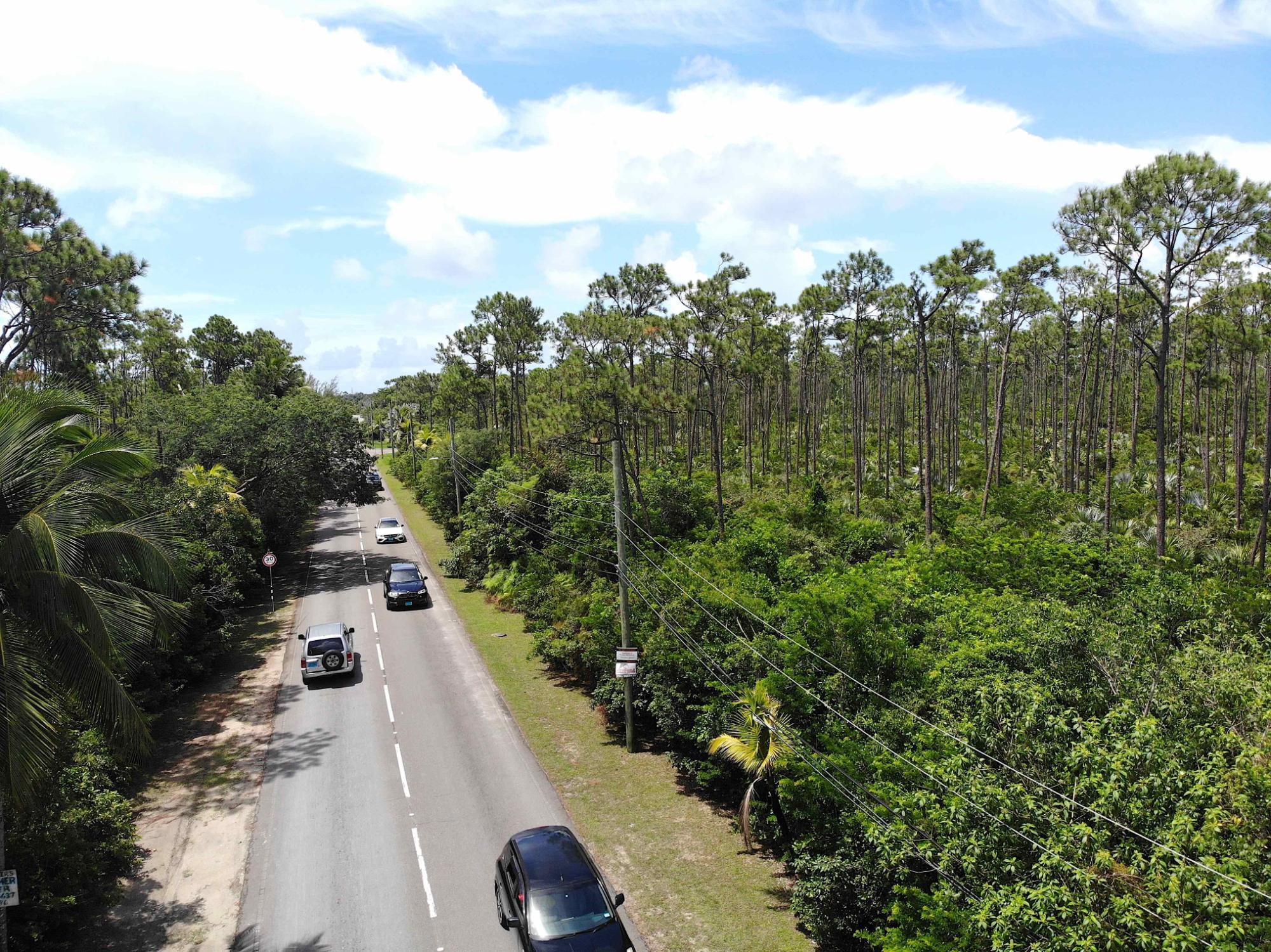 SOUTH OCEAN BOULEVARD