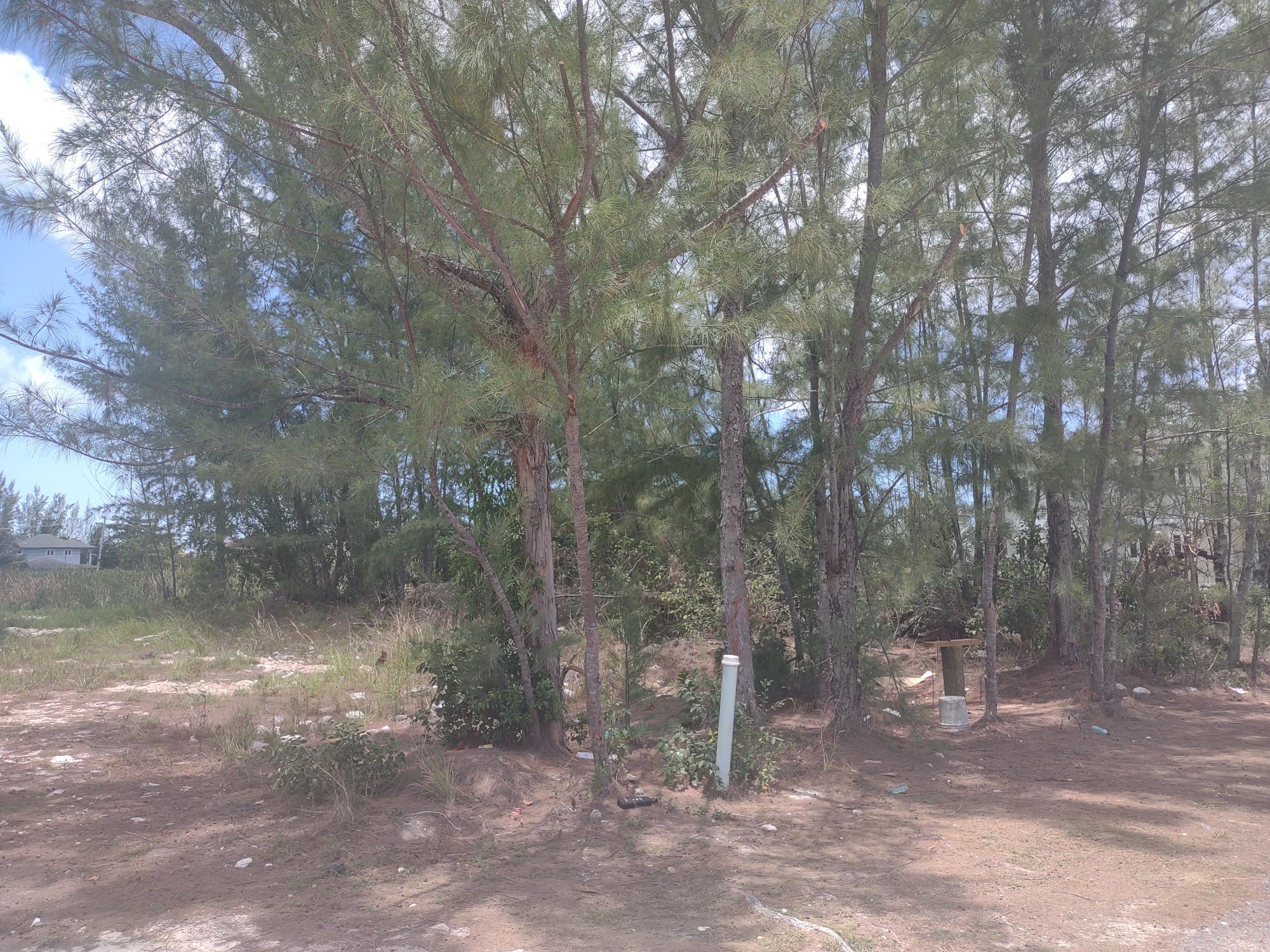 Multi-family Lot