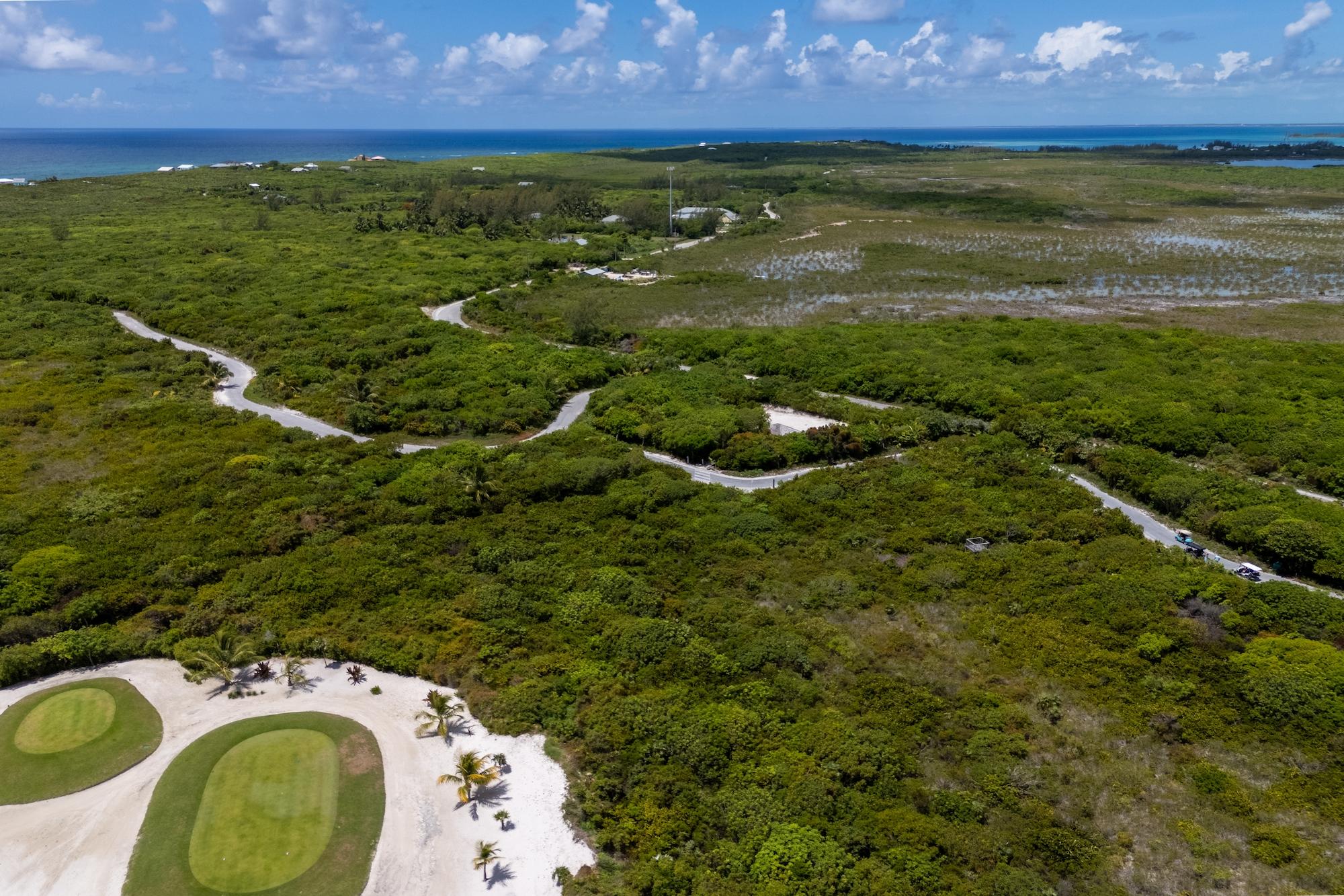 SANCTUARY ON THE 8TH