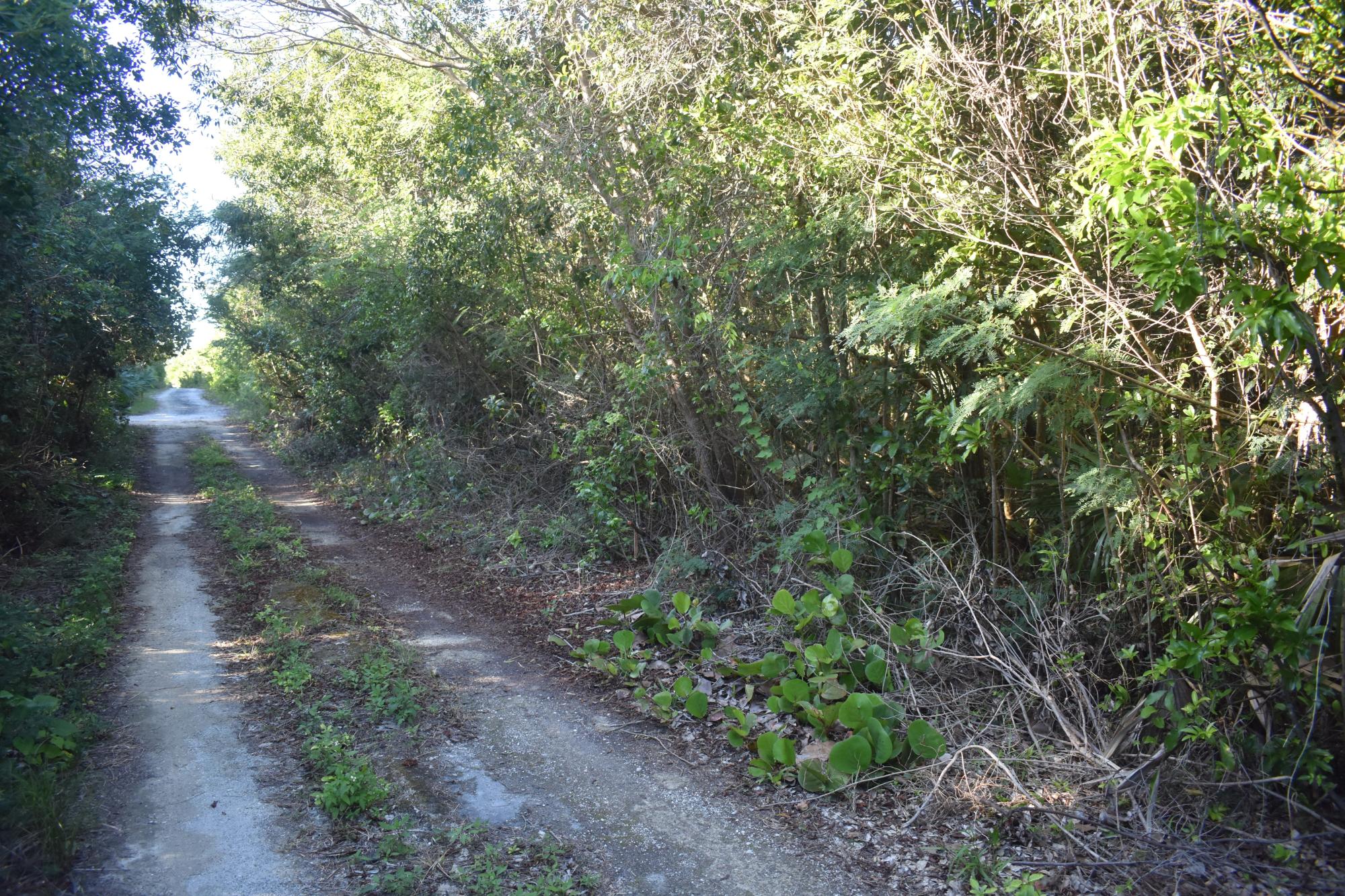 Eleuthera Lot