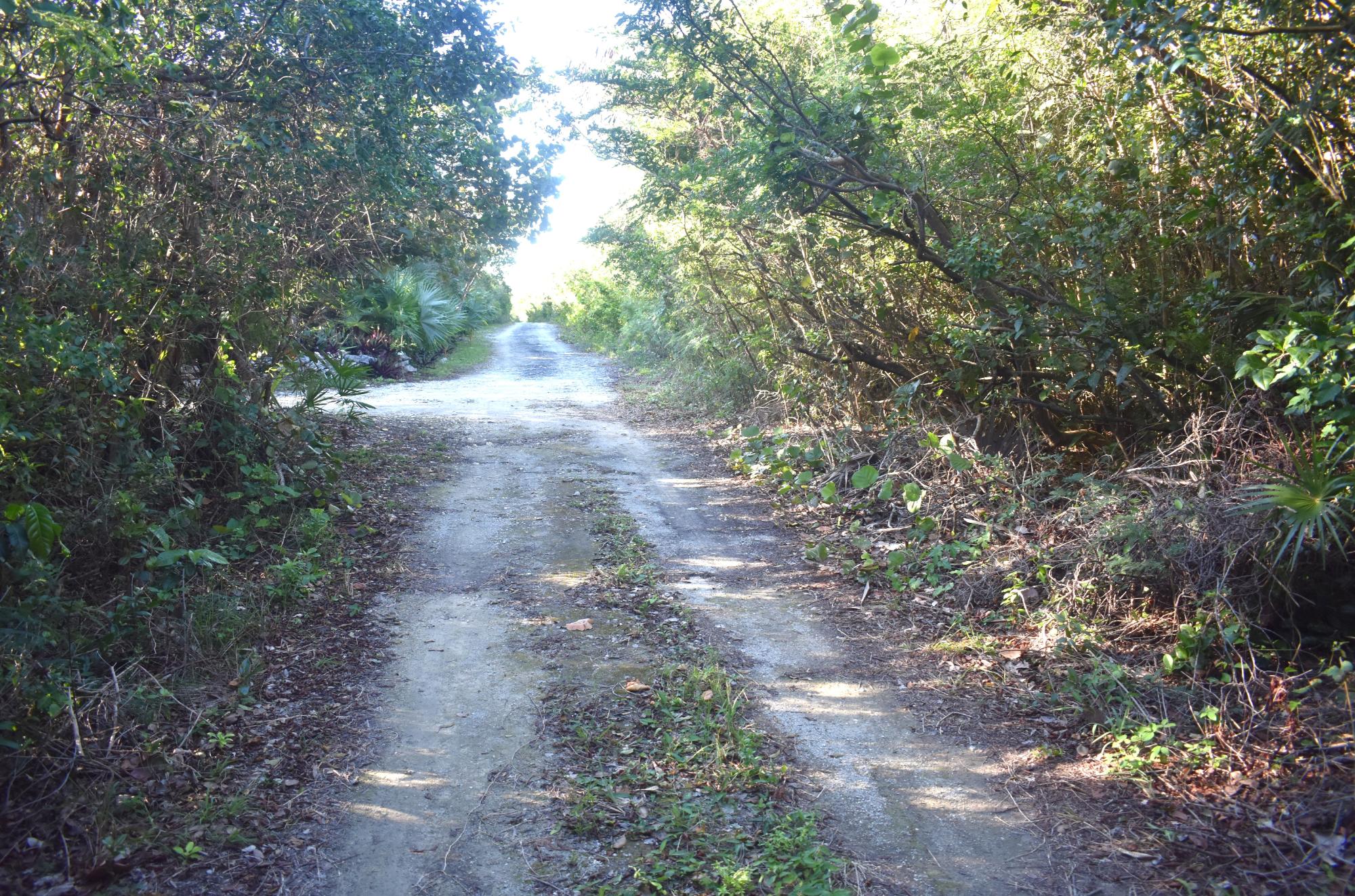 Eleuthera Lot