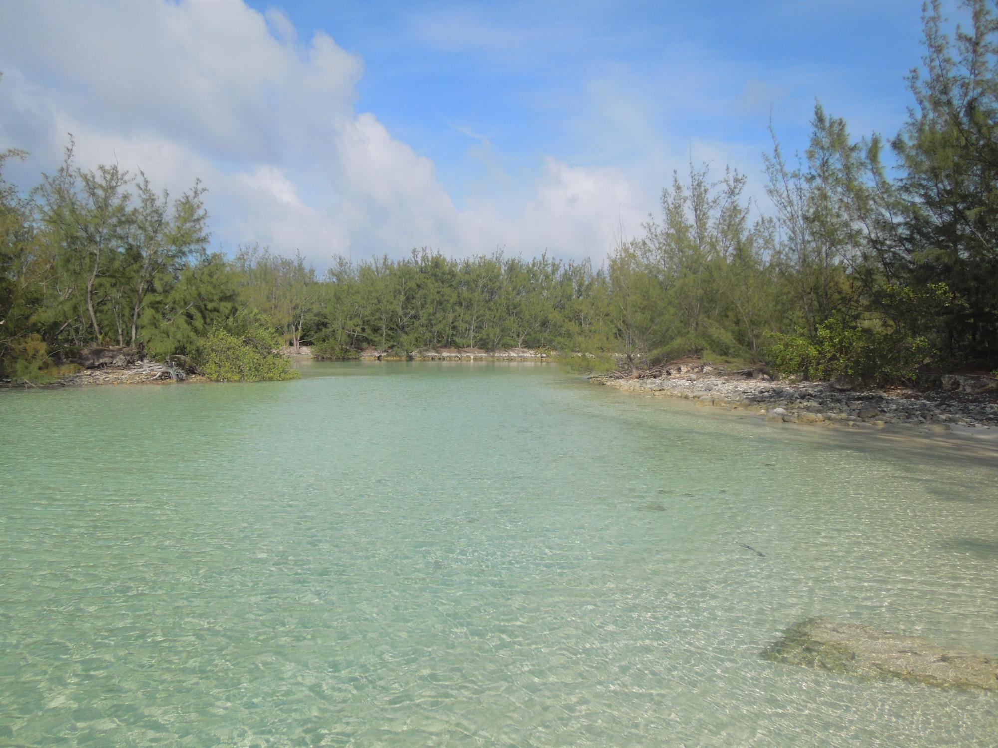 Eleuthera Lot