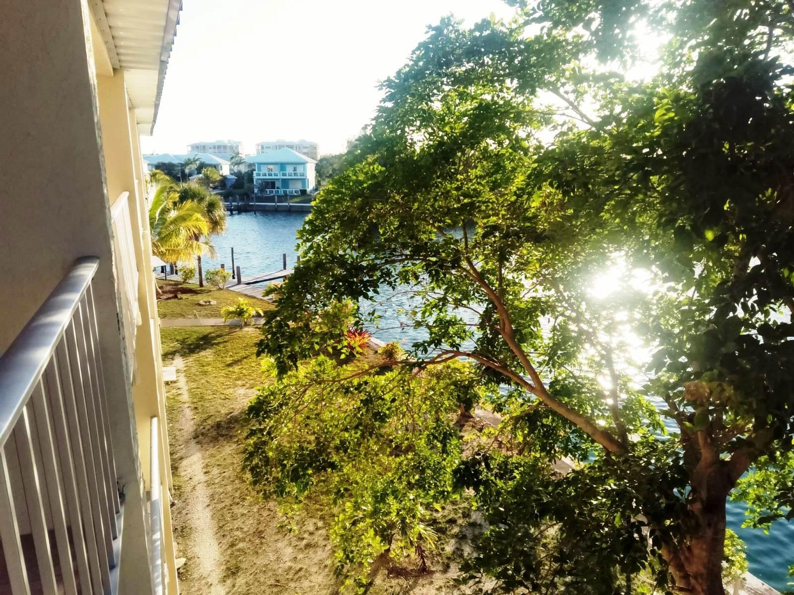 ISLAND BAY