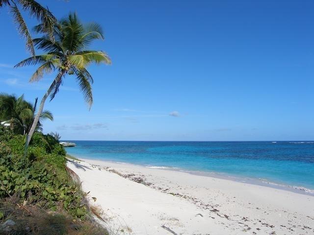 BLUE DOLPHIN BEACH & DOCK