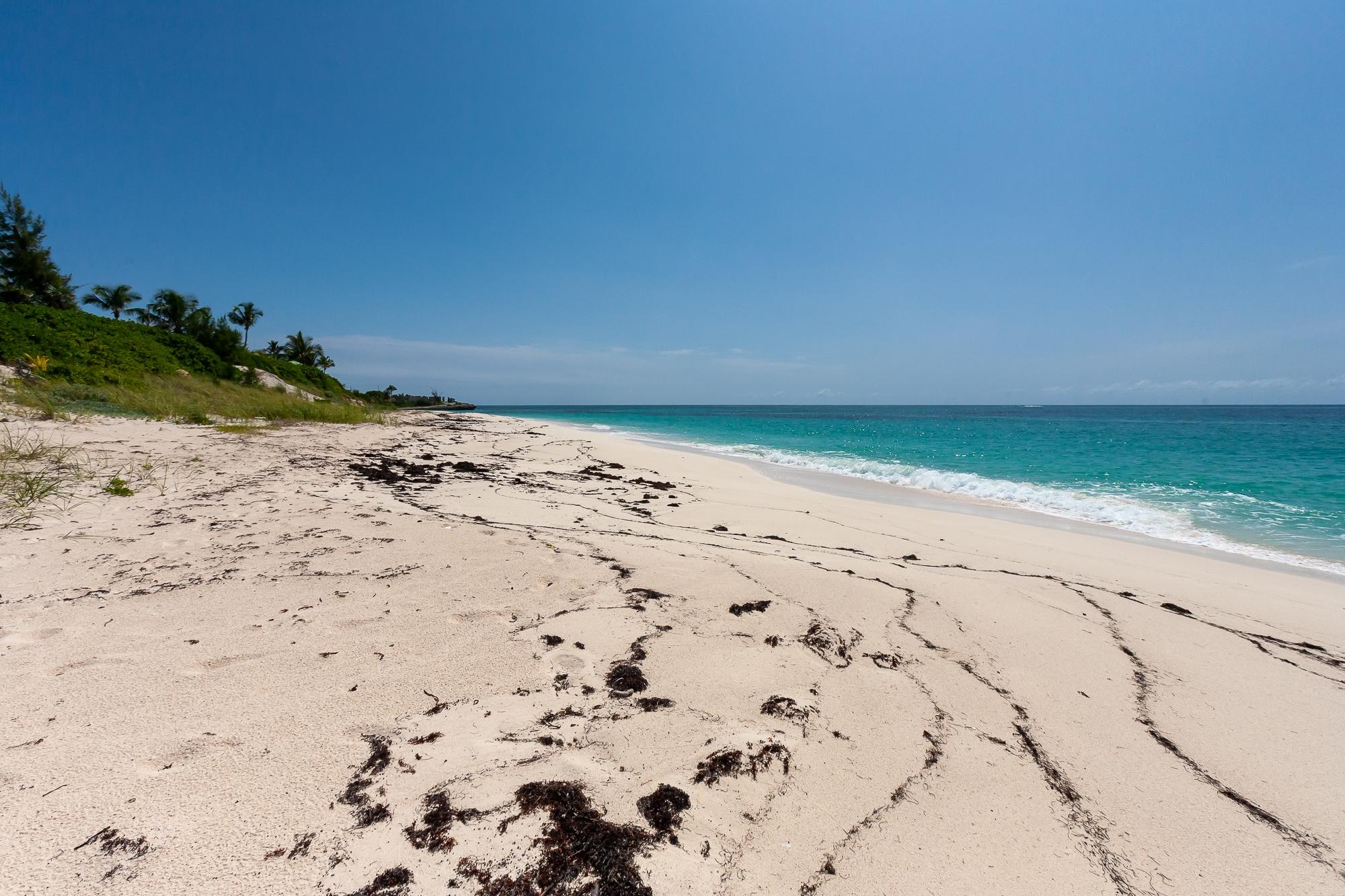 BLUE DOLPHIN BEACH & DOCK