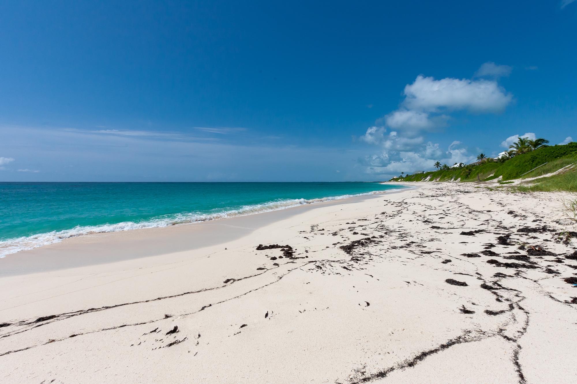 BLUE DOLPHIN BEACH & DOCK