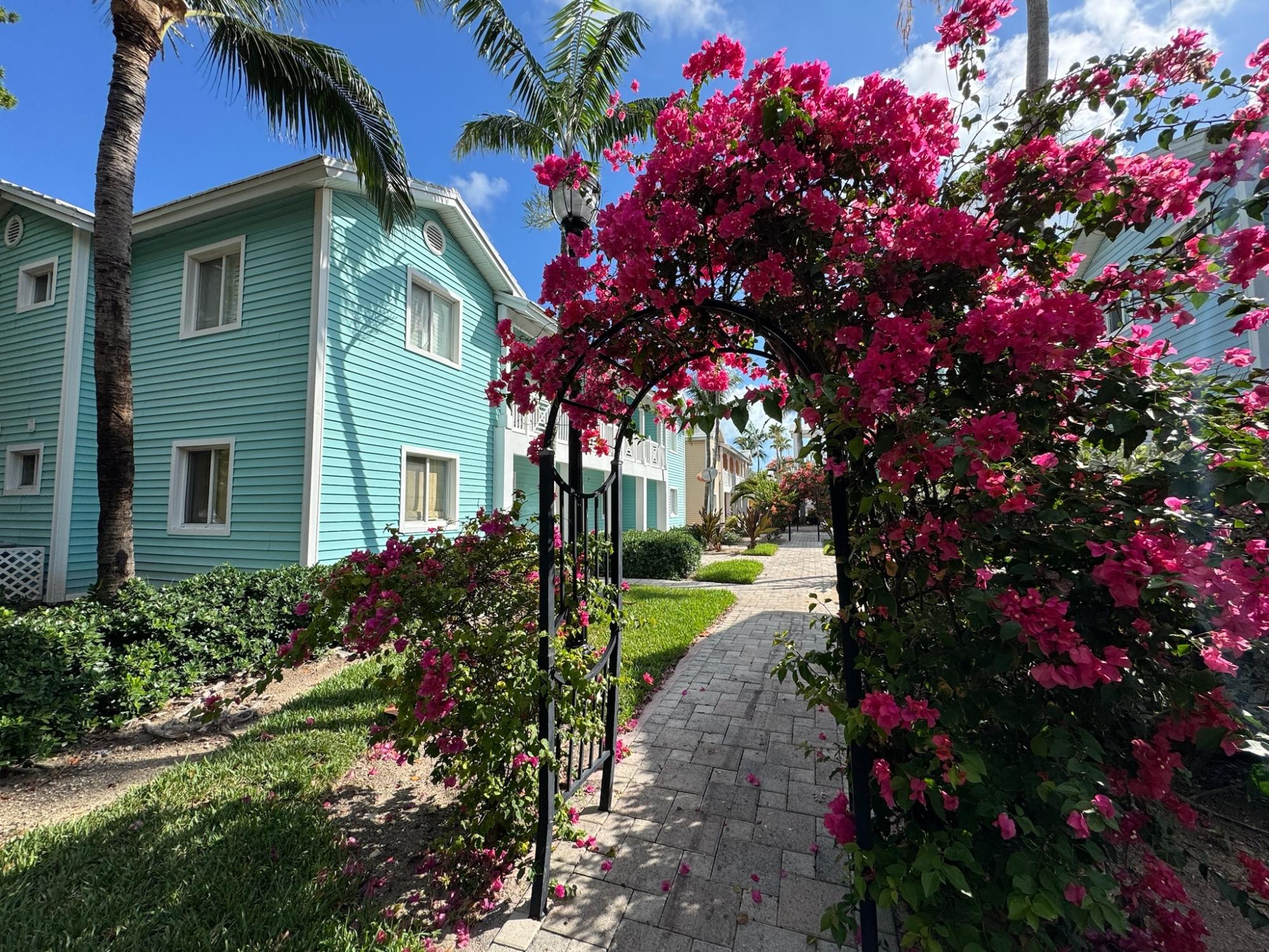Bimini Apartment