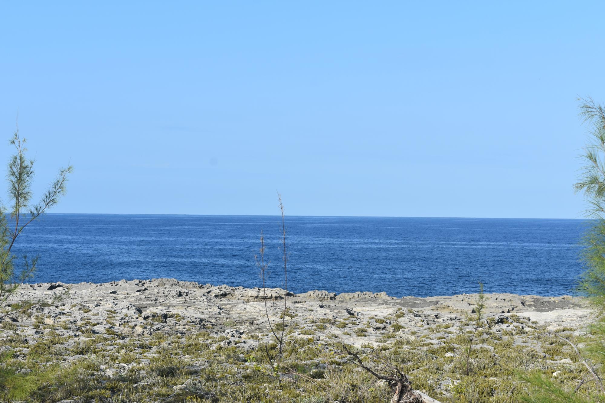 Eleuthera Lot