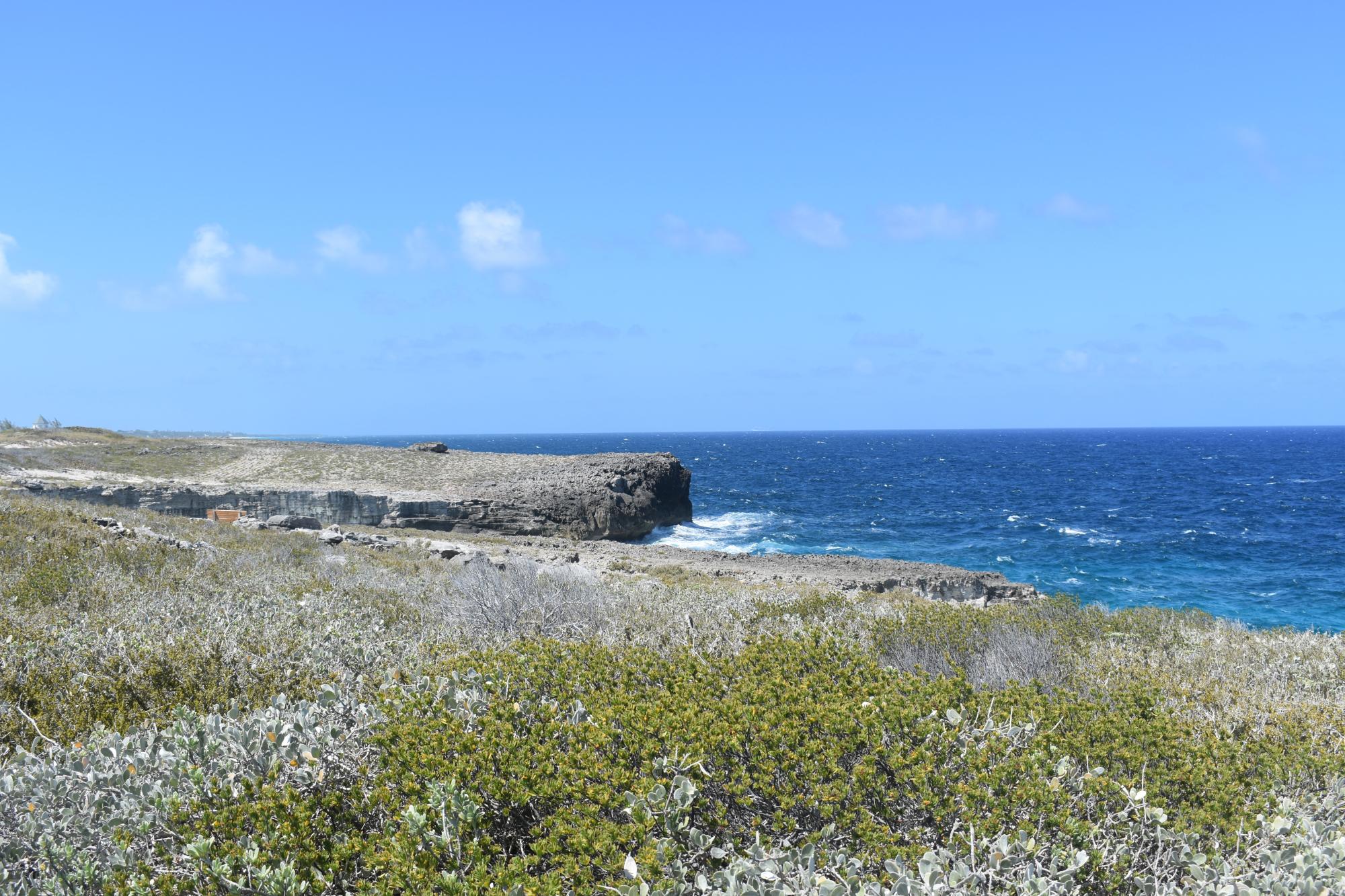 Eleuthera Lot