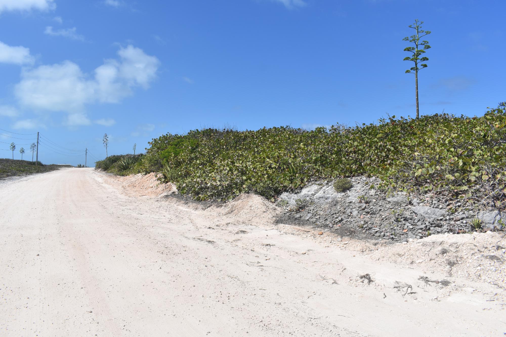 Eleuthera Lot