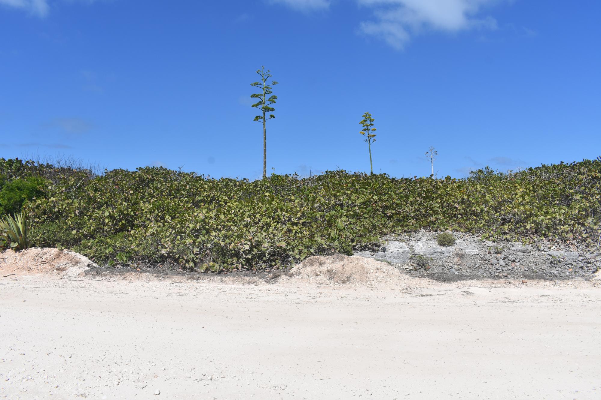 Eleuthera Lot