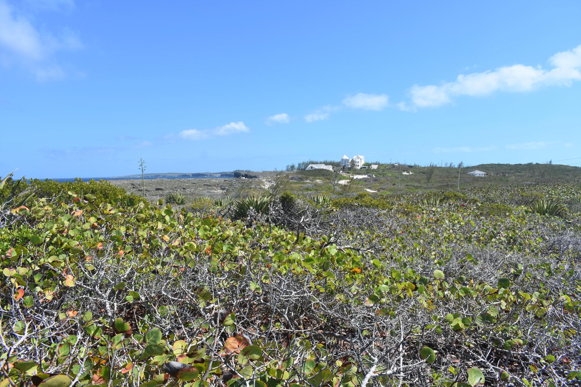 Eleuthera Lot
