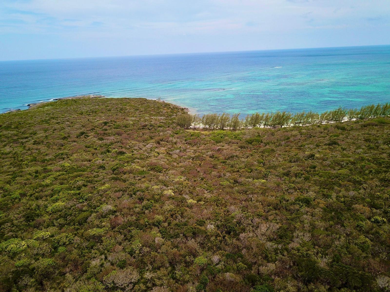 Tarpum Bay Acreage