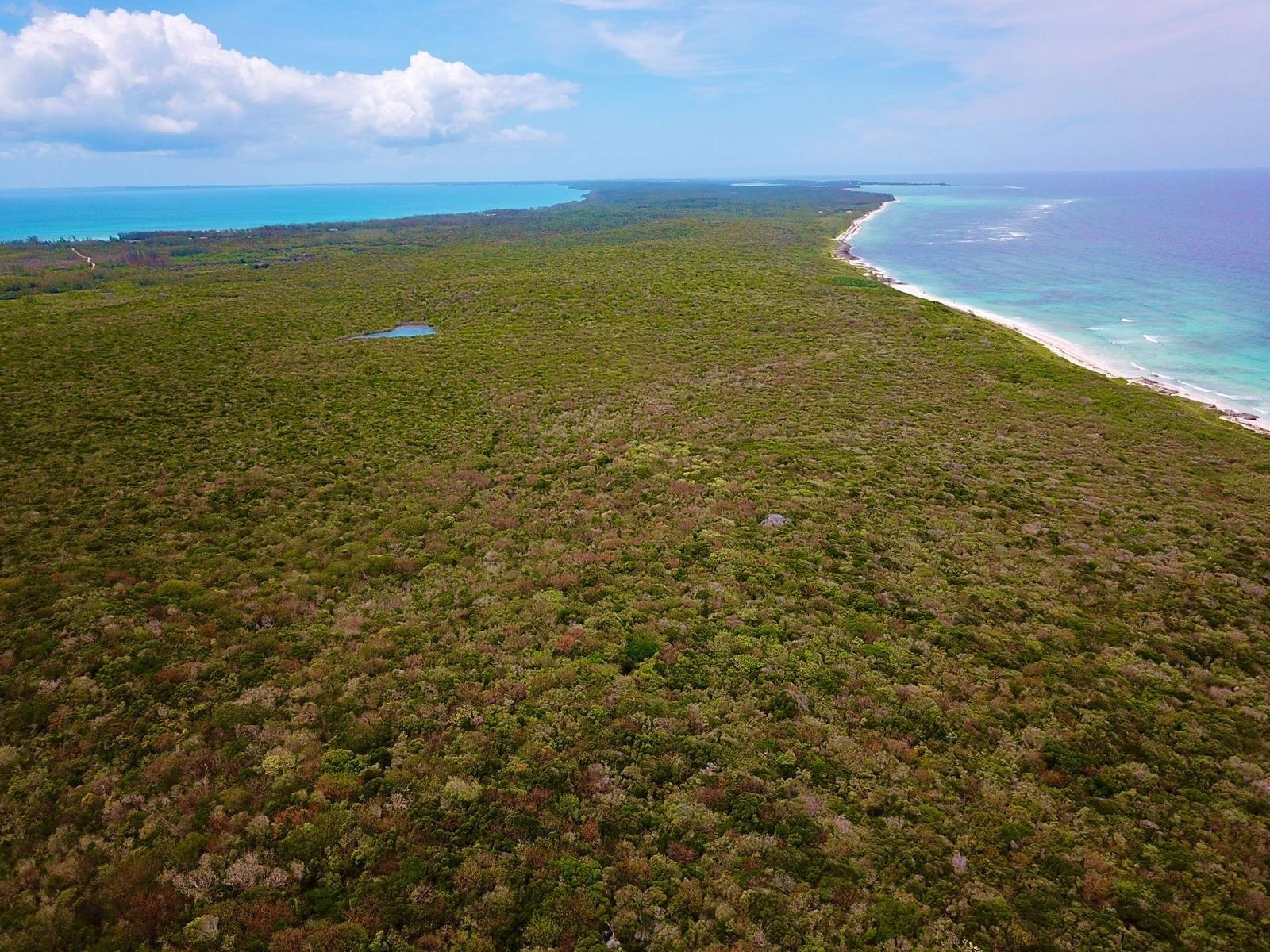 Tarpum Bay Acreage