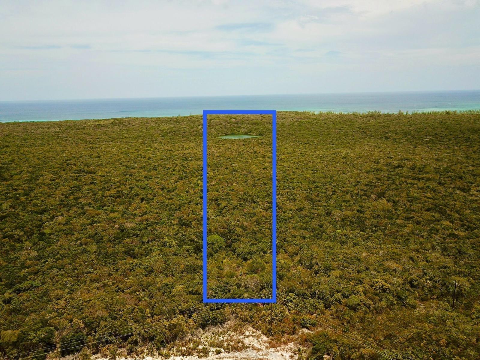 Tarpum Bay Acreage