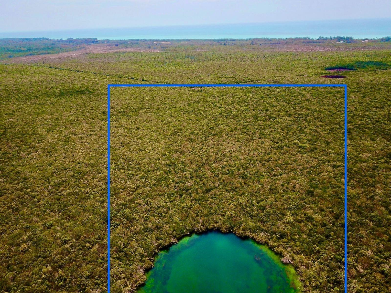Tarpum Bay Acreage