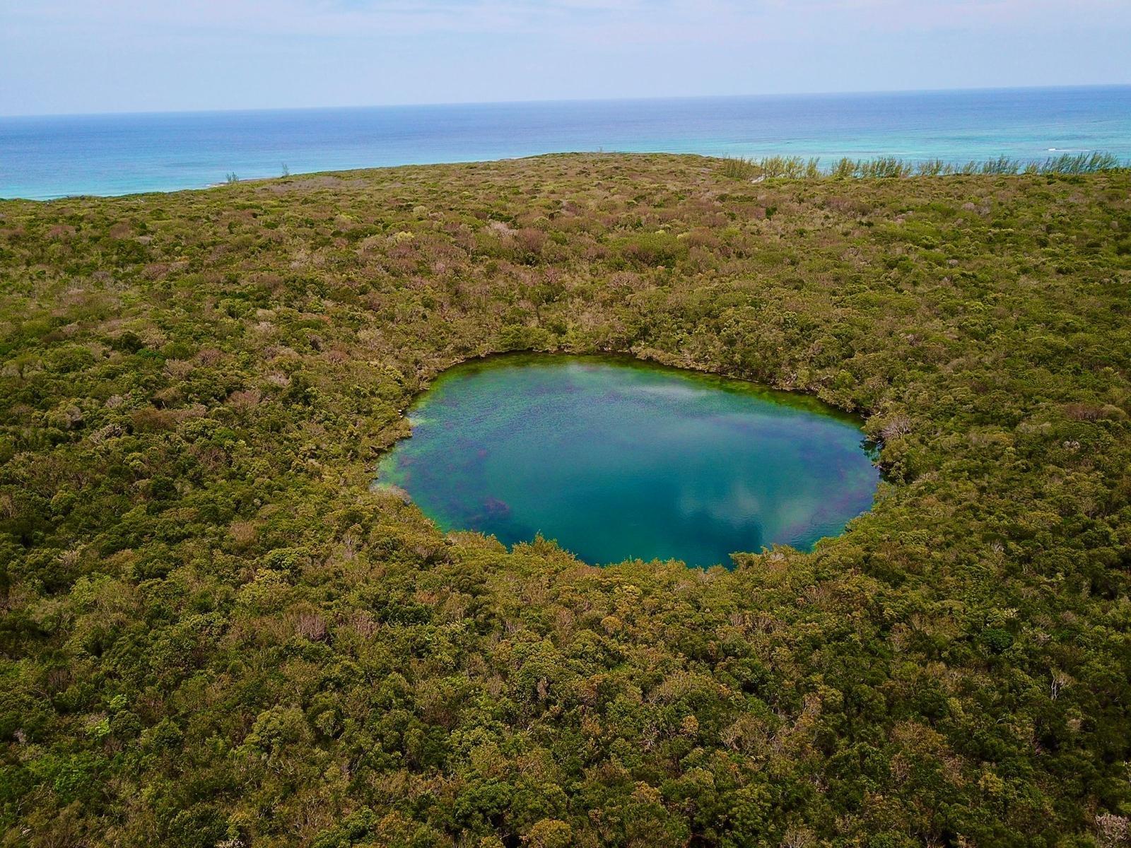 Tarpum Bay Acreage
