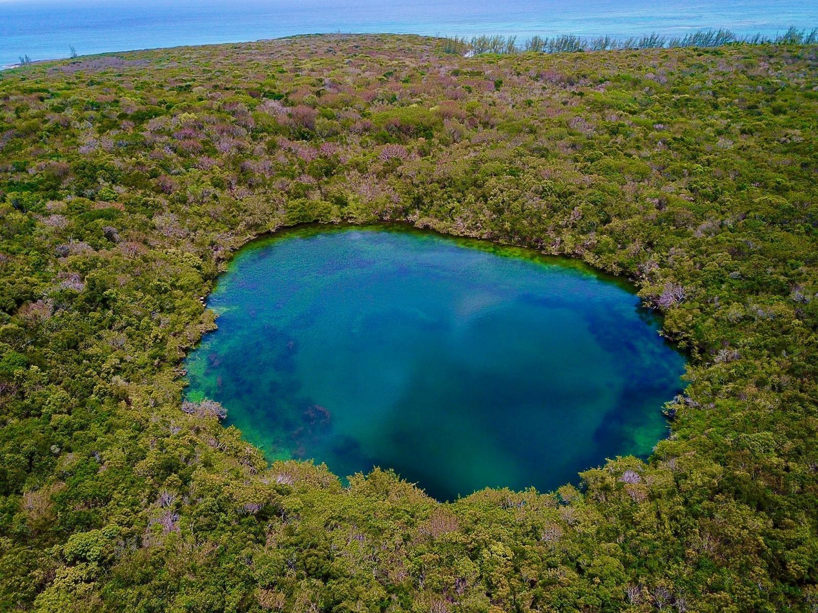Tarpum Bay Acreage
