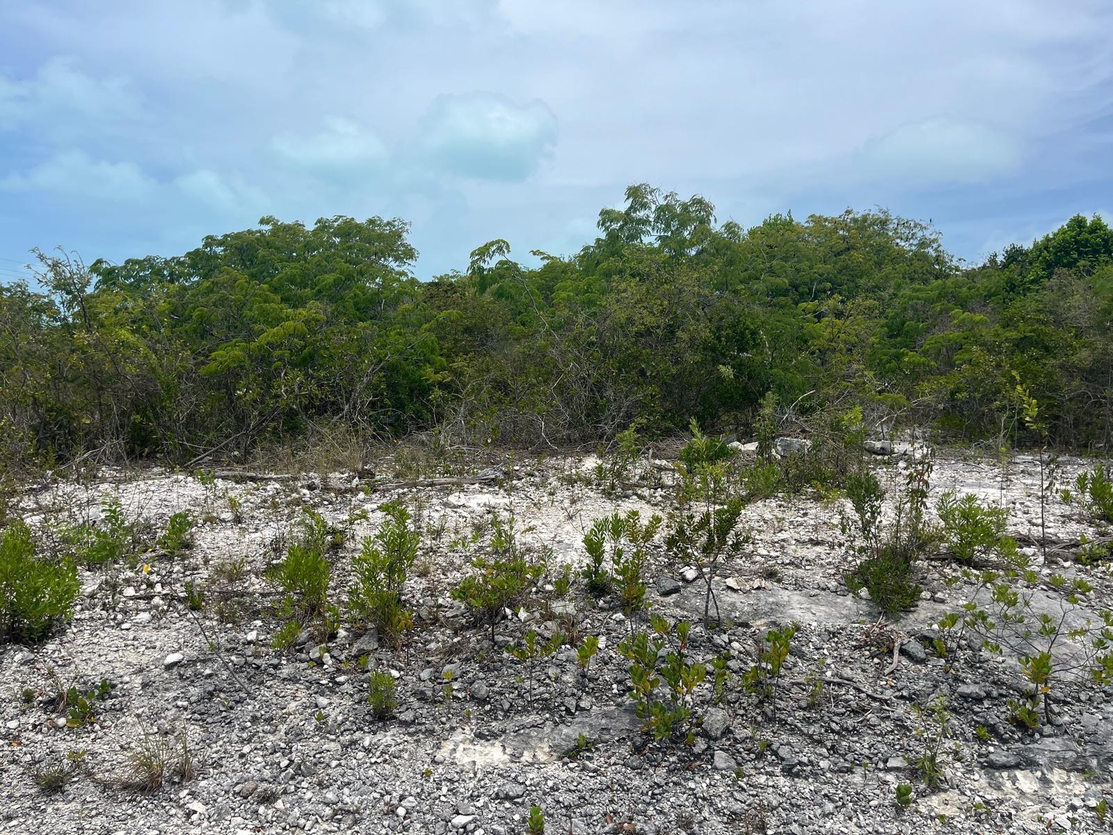 SAMUEL KNOWLES ESTATES LO