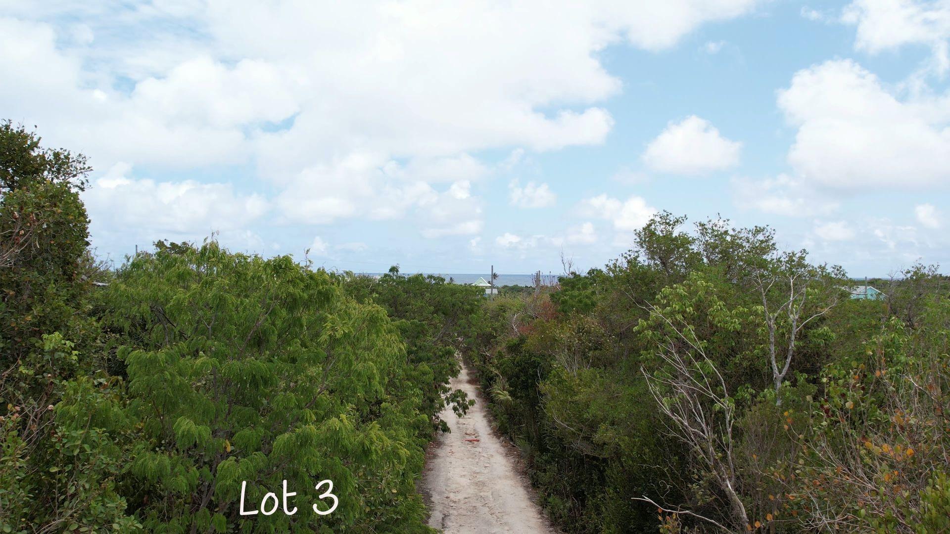 FISH POINT