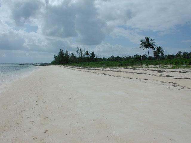 Lot 195