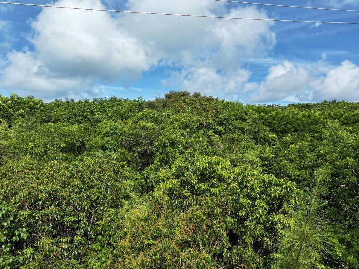 Eleuthera, Bahamas