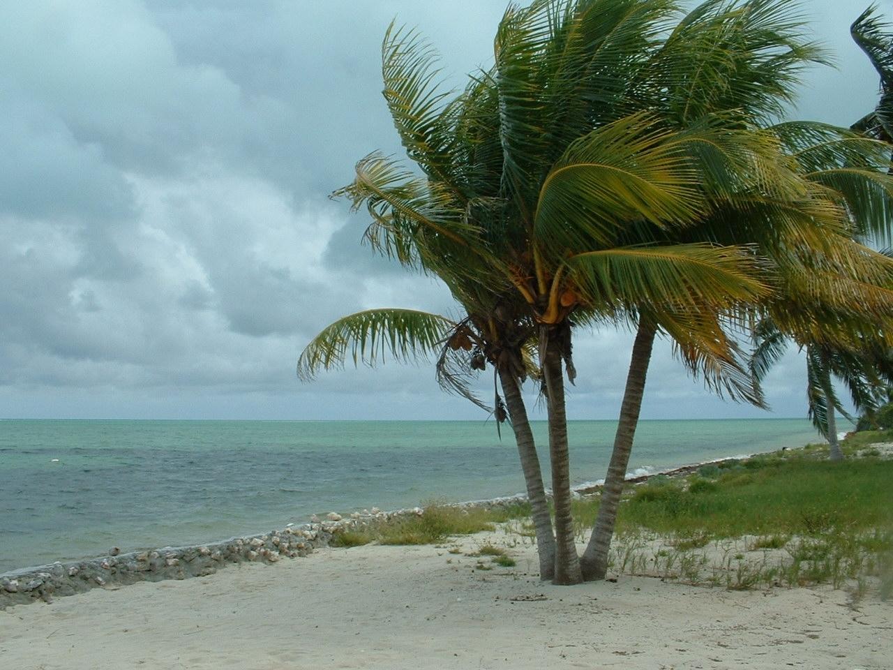 OCEANFRONT, DEEP CREEK