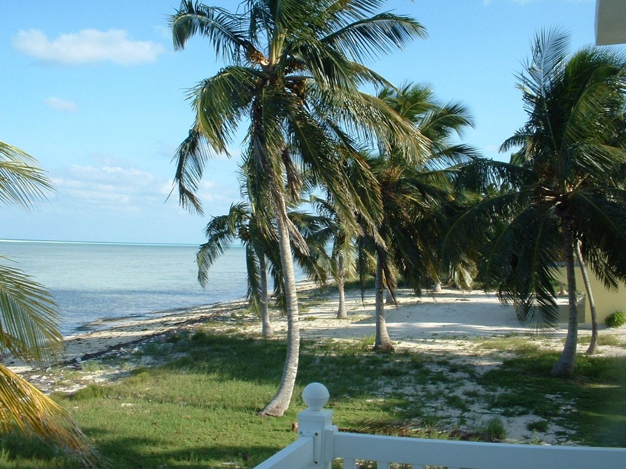 OCEANFRONT, DEEP CREEK