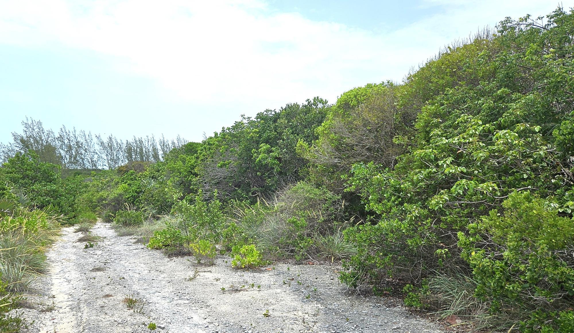 Whale Point Estates