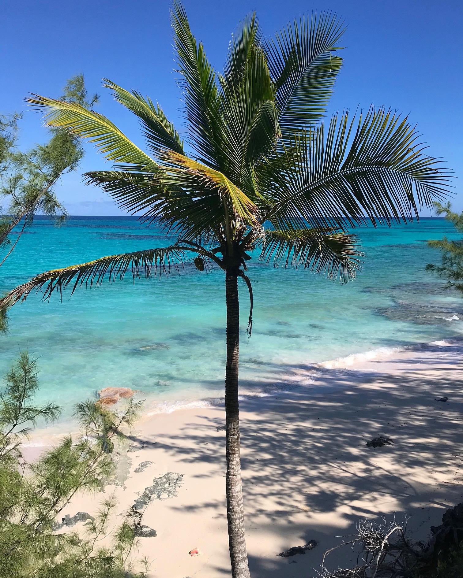 Eleuthera Lot