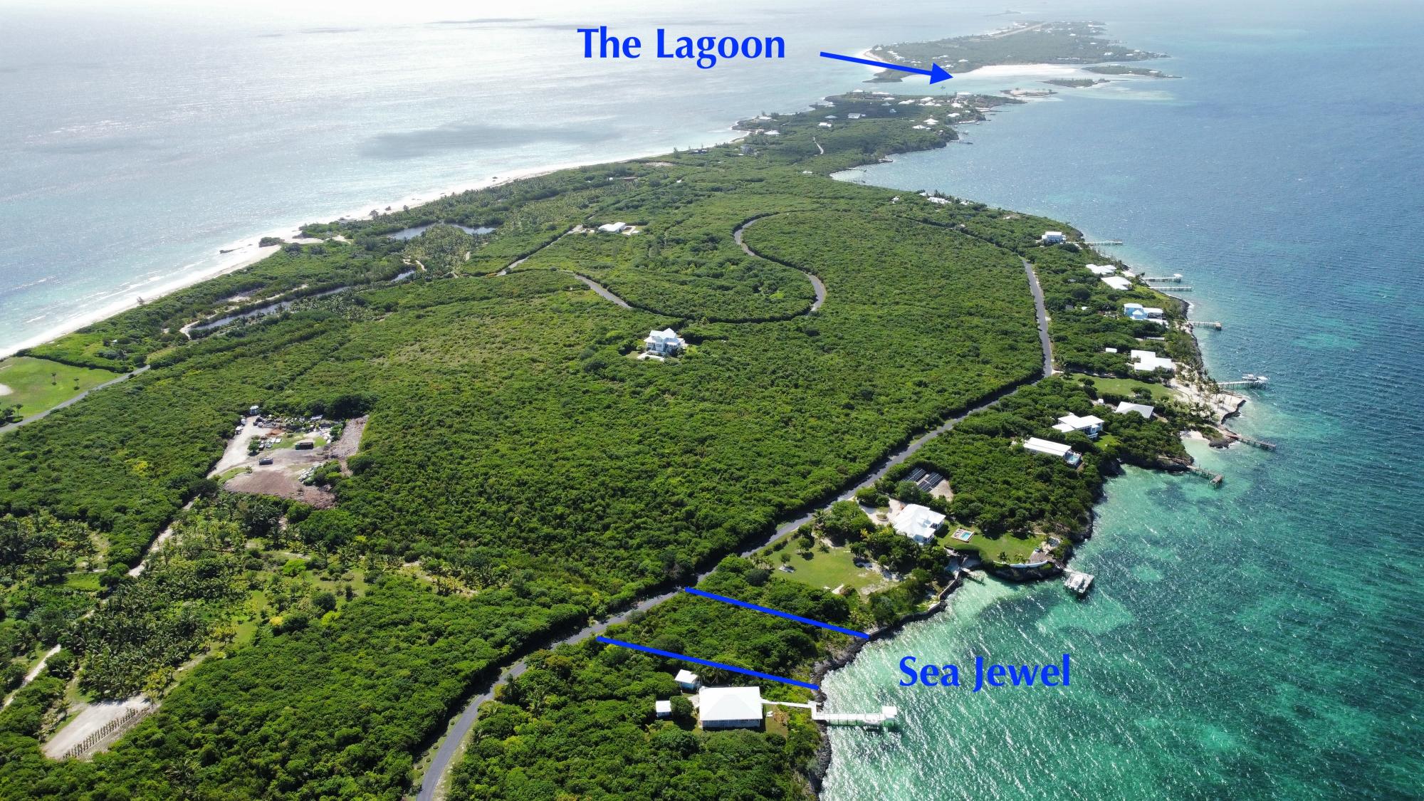 SEA JEWEL LOT