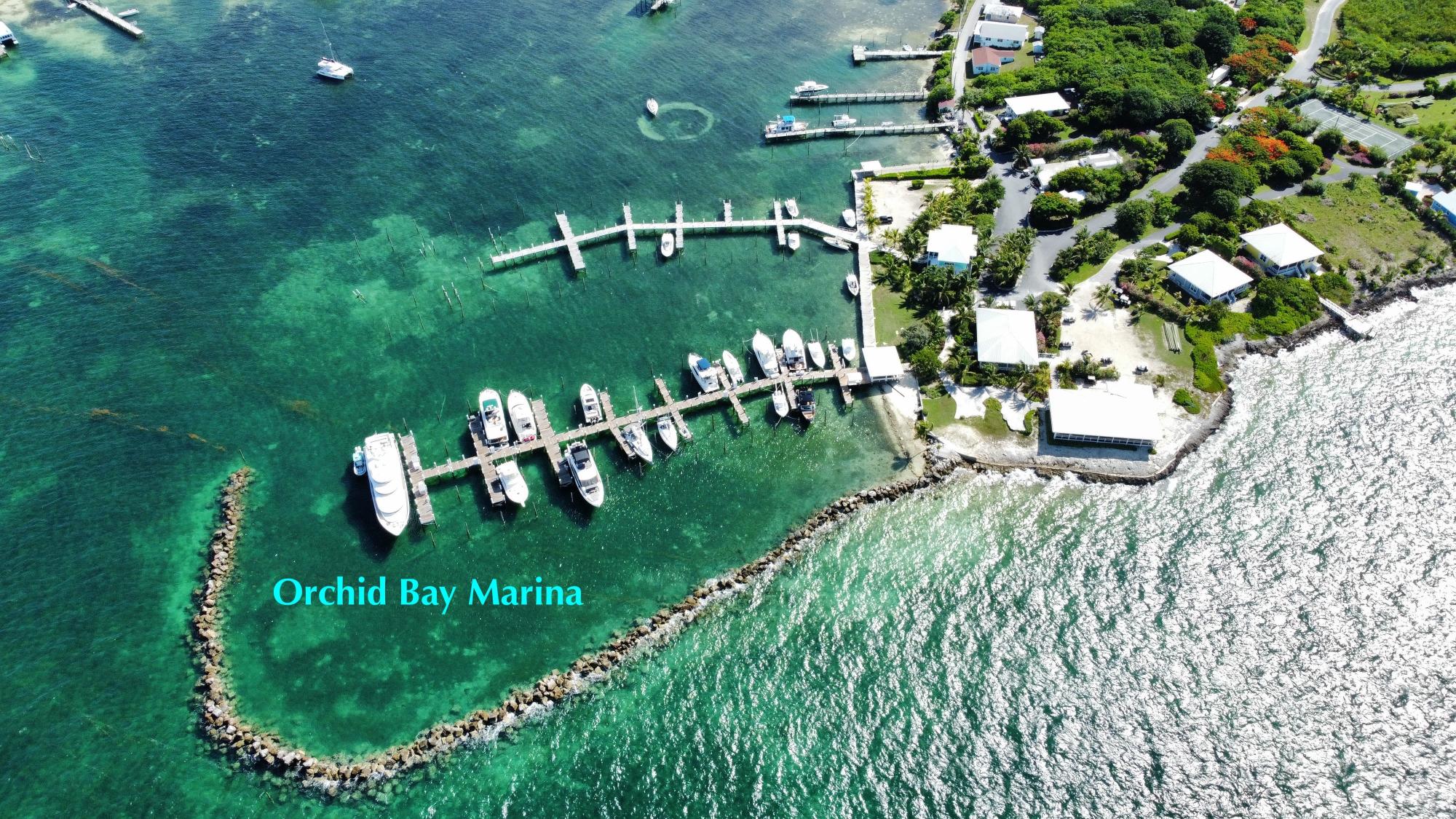 SEA JEWEL LOT