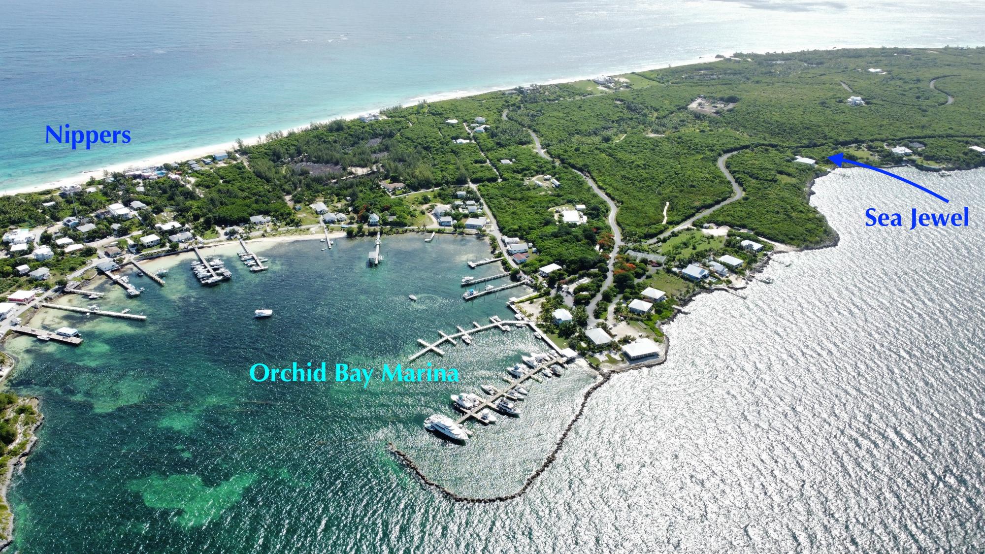 SEA JEWEL LOT