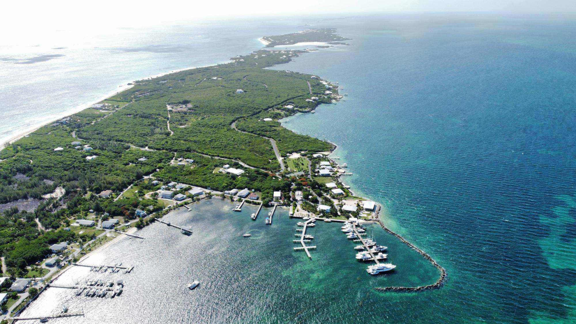SEA JEWEL LOT