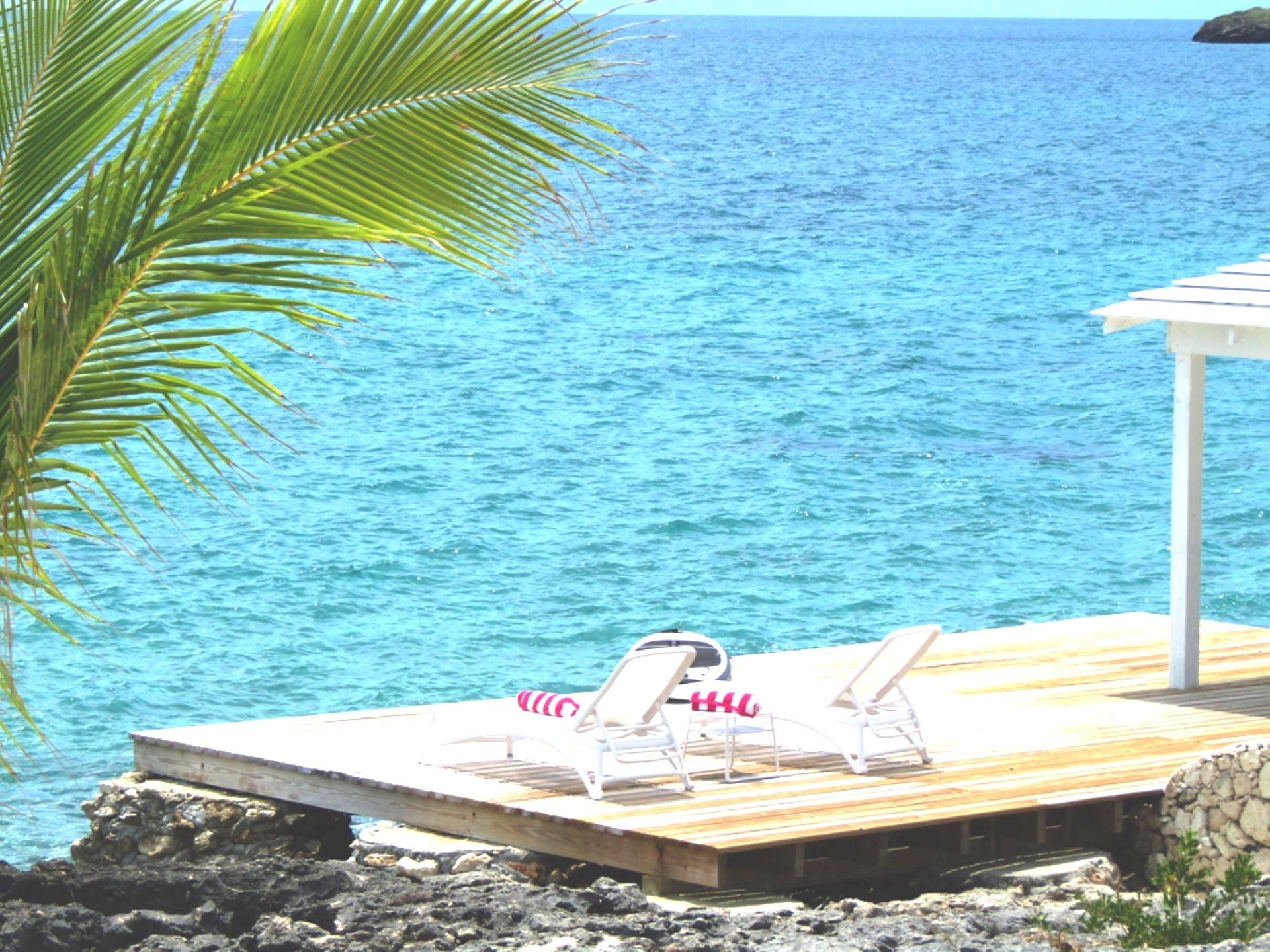 Coral Point