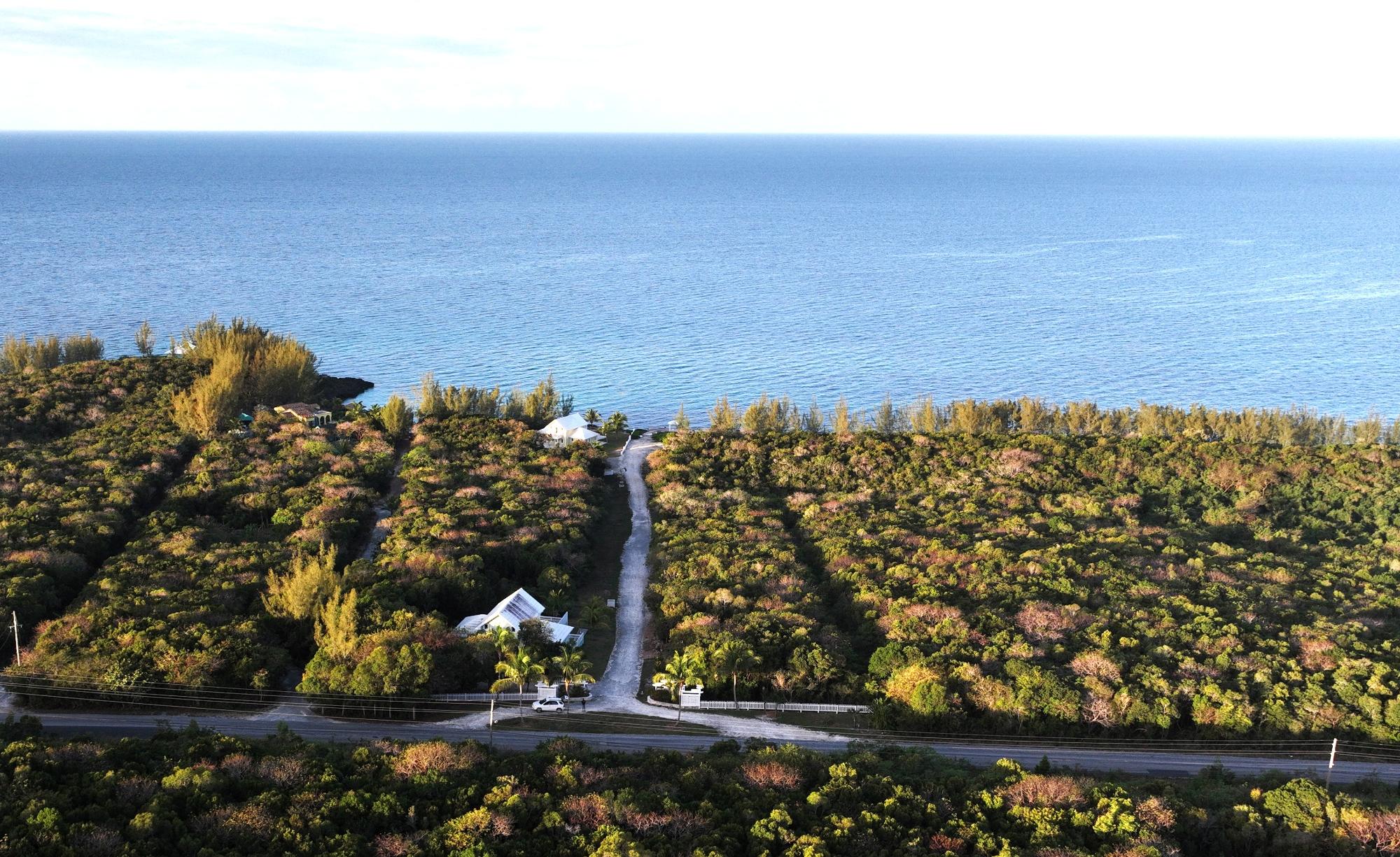Coral Point
