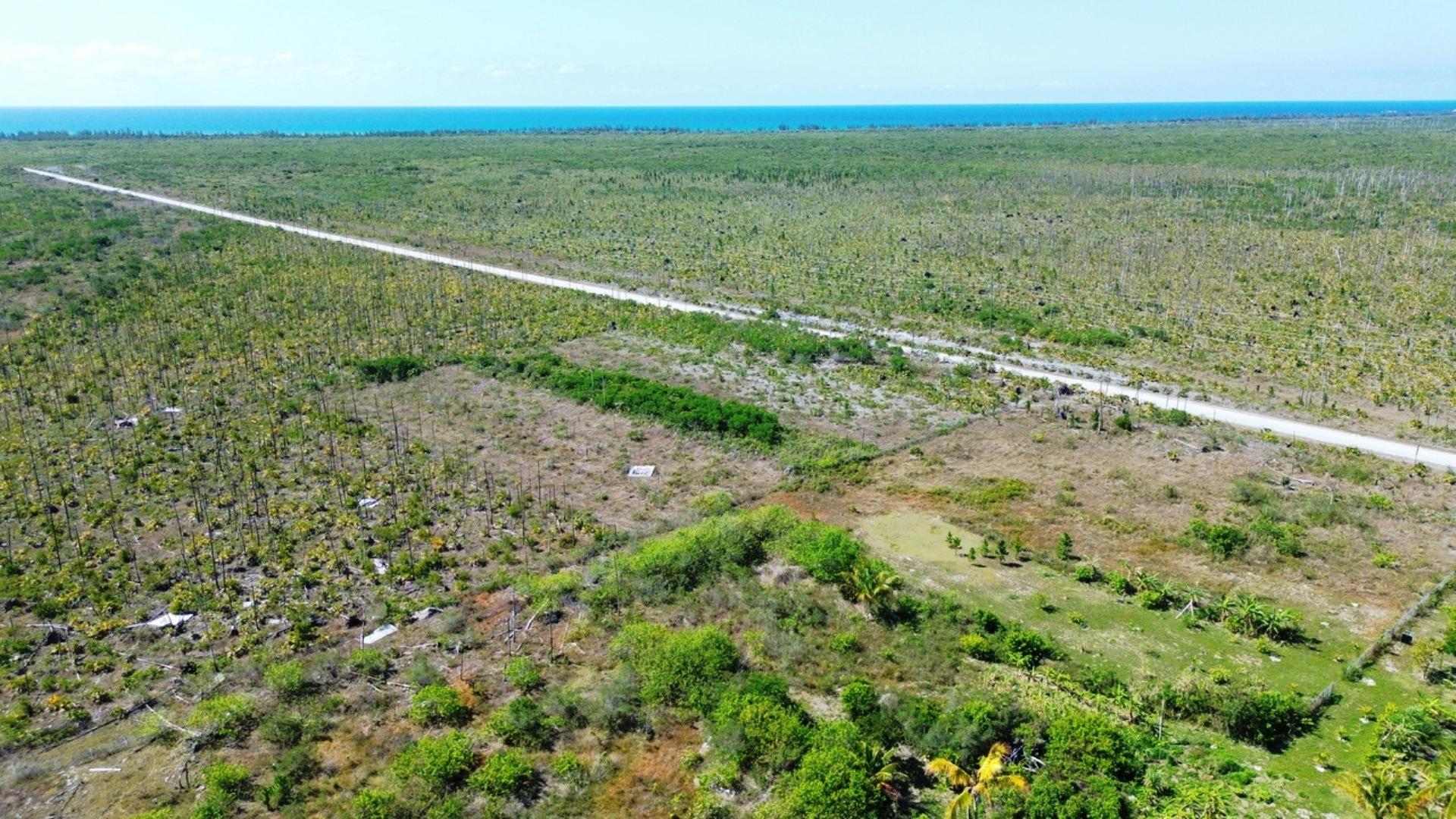 Tract 98, Grand Bah