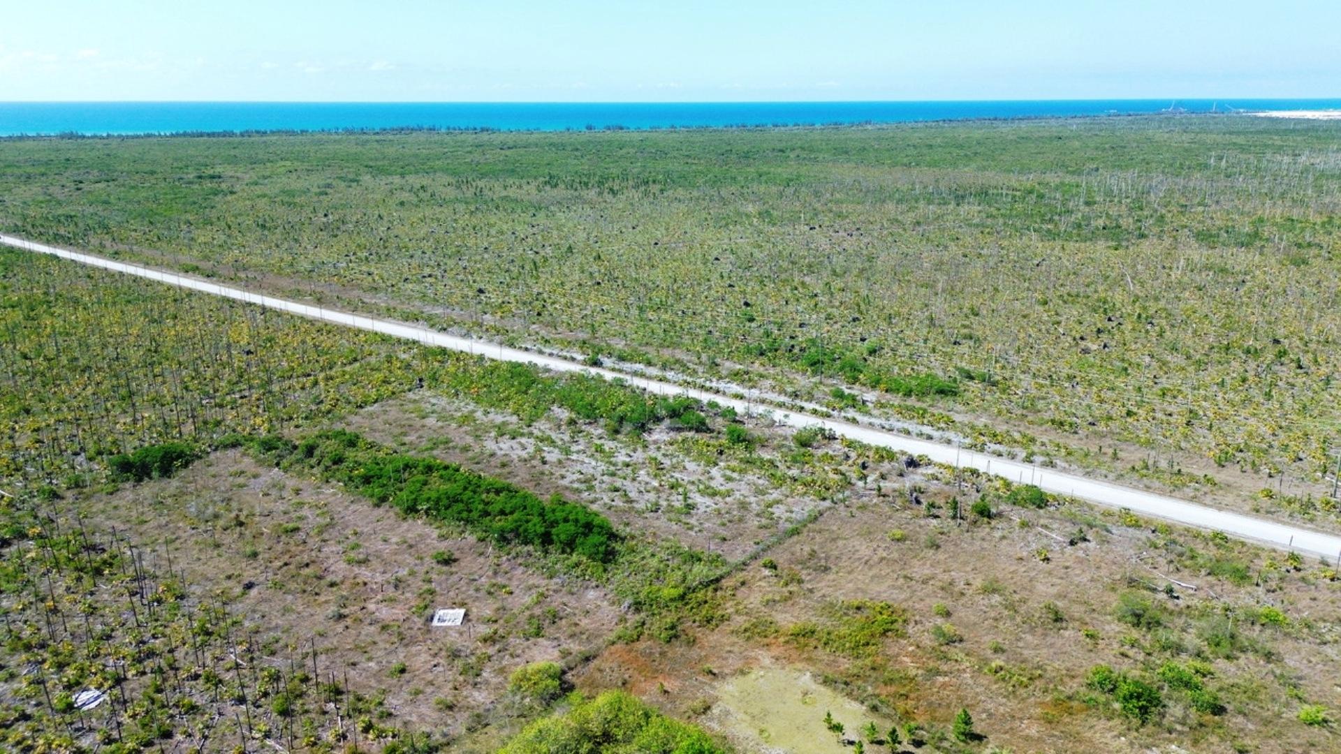 Tract 98, Grand Bah