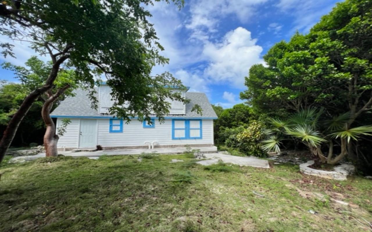 Buddha Blue House