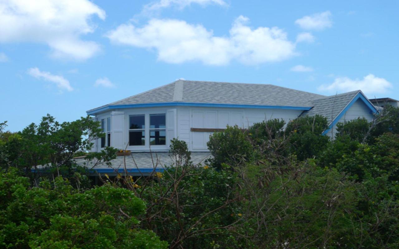 Buddha Blue House