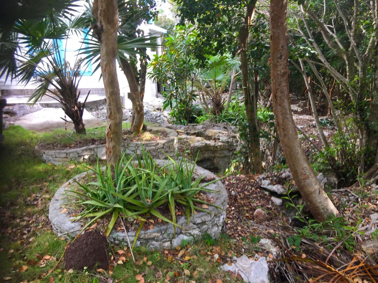 Buddha Blue House