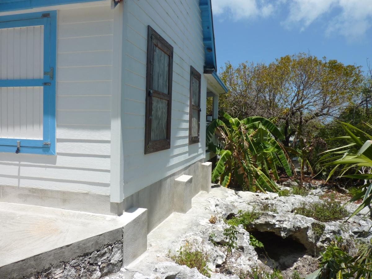 Buddha Blue House