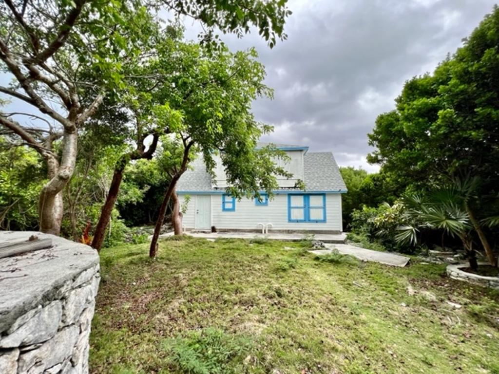 Buddha Blue House
