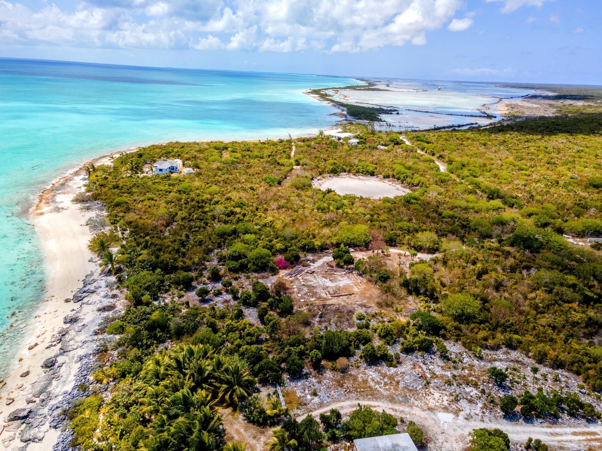 Cabbage Point